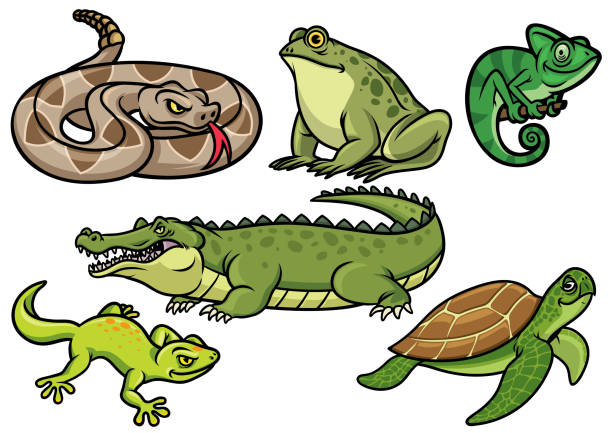 Set Of Reptile Cartoon Illustration Stock Illustration - Download Image Now  - Lizard, Alligator, Chameleon - iStock