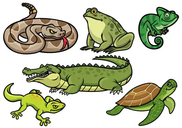 Vector illustration of set of reptile cartoon illustration
