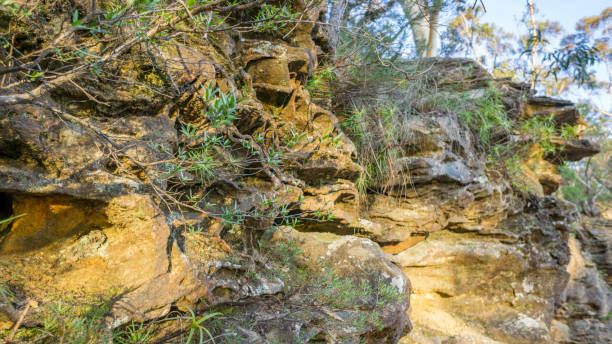 Escarpment rock formation Rugged escarpment rock formation found along many Australian bushlands and coastlines. The deep orange coloration in this image is due to the rock's iron content. bush land natural phenomenon environmental conservation stone stock pictures, royalty-free photos & images