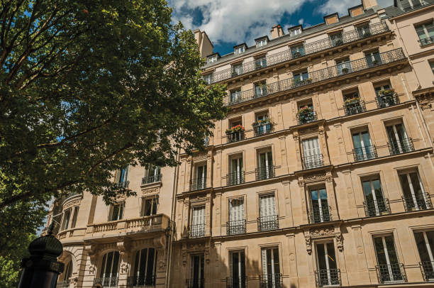 istock Facade of typical building with balcony, flowered windows and leafy tree in a sunny day at Paris. 903131358