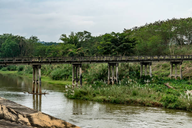istock Concrete bridge in countryside 903137834