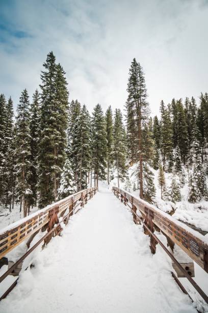 Snowy Bridge Perspective stock photo