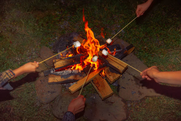 Camping grill marshmallow hands holding skewers with marshmallows around the fire smore photos stock pictures, royalty-free photos & images