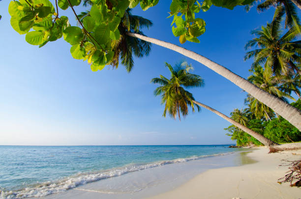 Java Ibeaches 12,600+ Island Of Java Stock Photos, Pictures & Royalty-Free Images ...