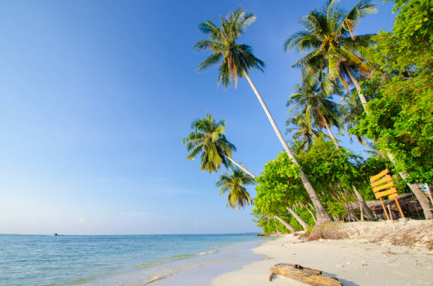istock Tip gelam, karimun jawa beach, indonesia 903161270