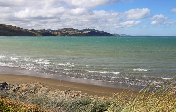 bahía de wairarapa - castlepoint fotografías e imágenes de stock