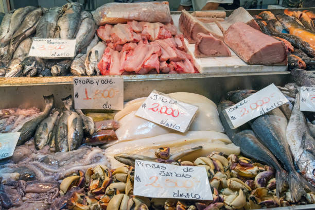 istock Fresh fish and seafood at the Mercado Central in Santiago 903164182