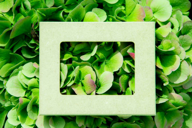 istock Creative layout made of leaves with White frame. Top view. Nature concept. 903180172