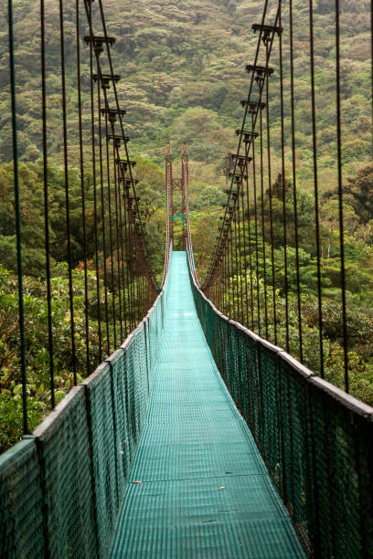 istock Hanging Bridges in Cloudforest - Costa Rica 903183426