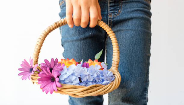 Midsection Of Girl Holding Basket Against White Background
