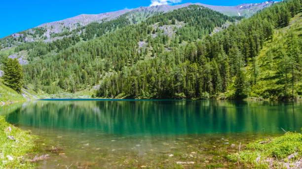 istock Beautiful lake in the forest 903199064