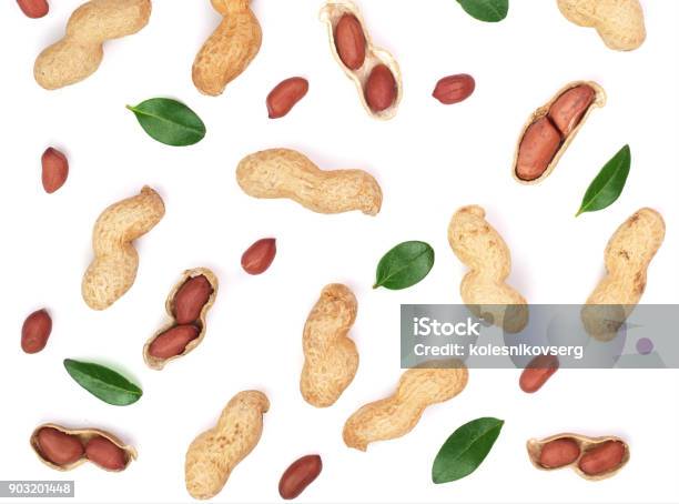 Peanuts With Shells Isolated On White Background With Copy Space For Your Text Top View Flat Lay Pattern Stock Photo - Download Image Now
