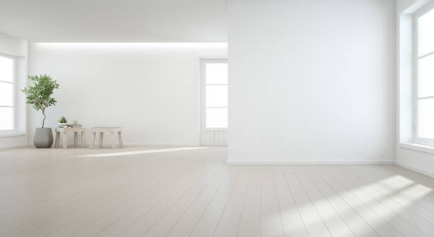 plante d’intérieur sur plancher en bois avec fond de mur blanc dans grande salle moderne nouvelle maison pour grande famille, fenêtre vintage et la porte de la salle vide ou studio lumière naturelle - white desert photos et images de collection