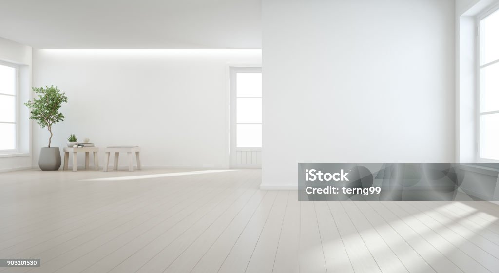 Indoor plant on wooden floor with white wall background in large room at modern new house for big family, Vintage window and door of empty hall or natural light studio 3D rendering of home interior Office Stock Photo