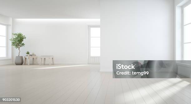Indoor Plant On Wooden Floor With White Wall Background In Large Room At Modern New House For Big Family Vintage Window And Door Of Empty Hall Or Natural Light Studio Stock Photo - Download Image Now