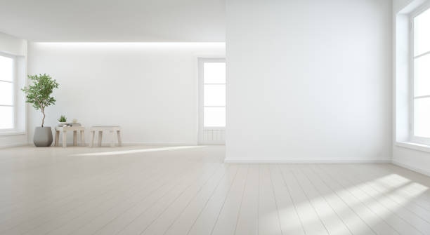крытый завод на деревянном полу с белым фоном стены в большой комнате в современном новом доме для большой семьи, винтаж окно и дверь пустог - housing space стоковые фото и изображения