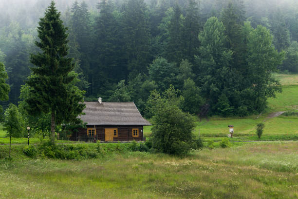 Two mountain cottages in the mountain forrest
