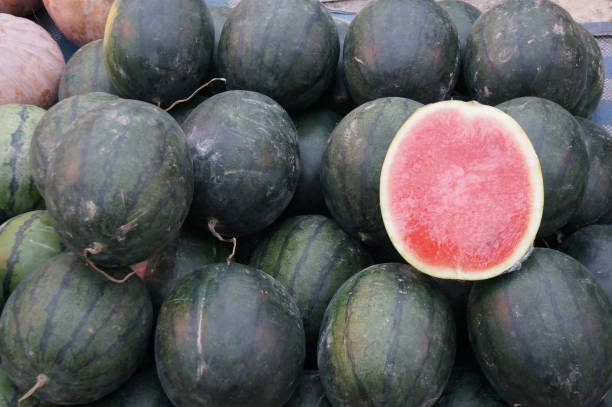 istock Group of flesh watermelon 903205576