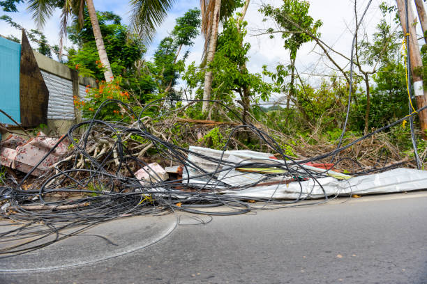 hurricane ravaged neighborhood - cyclone fence imagens e fotografias de stock