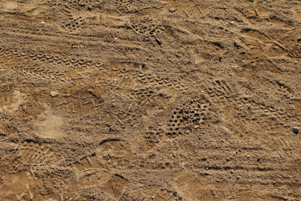 istock Footprints remaining on the ground of the earth 903206896