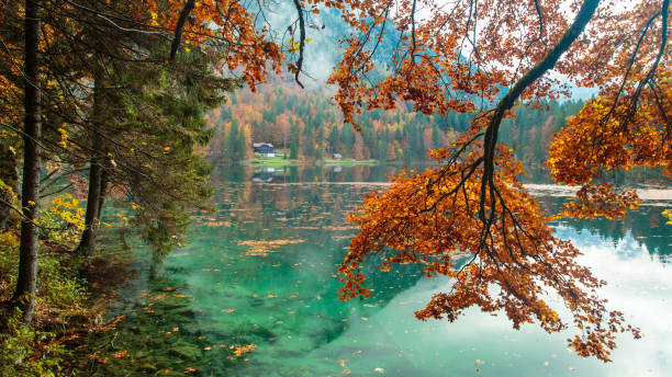istock Autumn foliage at the alpine lake 903213962