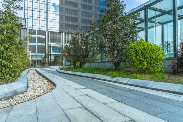 istock Modern architecture in the city 903217610