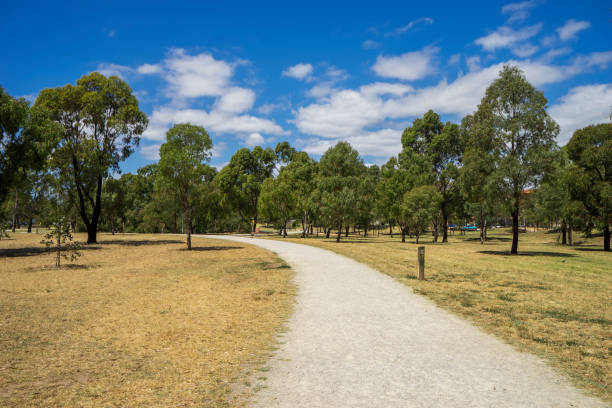 A footpath winds through a dry field and gum trees in a public park in Melbourne, Australia.