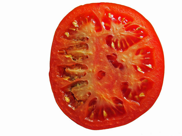 Slice of tomato stock photo
