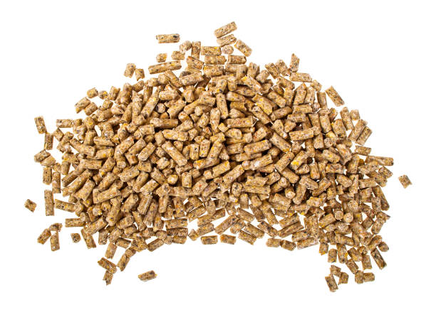 istock Pelleted compound feed Isolated on white background, wheatfeed pellets 903225220