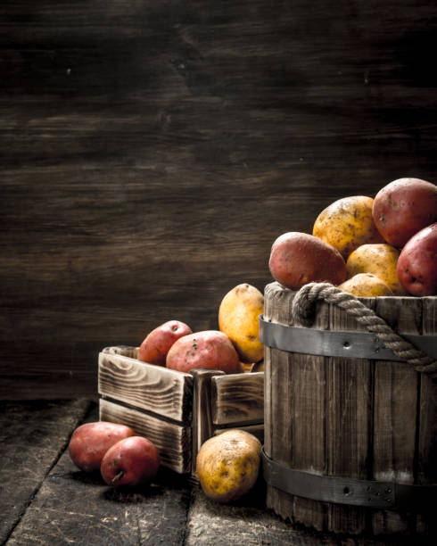 istock Fresh potatoes in a wooden bucket. 903229076