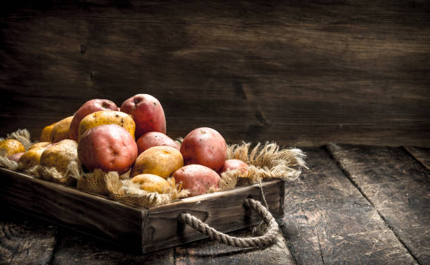 istock Fresh potatoes in an old tray. 903229078