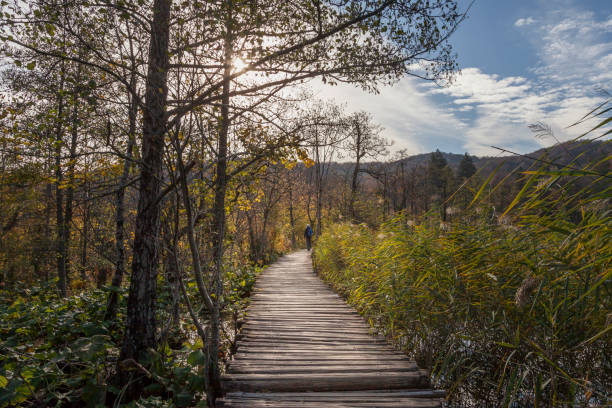 istock Plitvice Lakes National Park 903229642