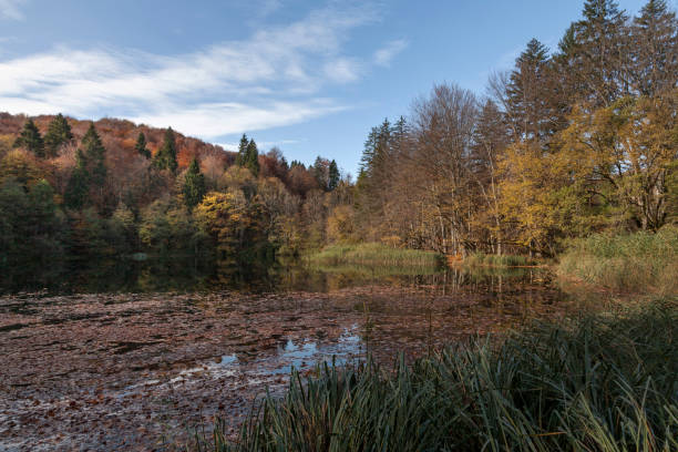 istock Plitvice Lakes National Park 903230048