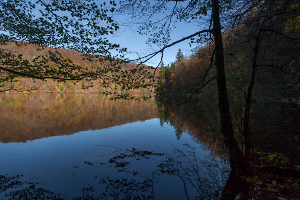 istock Plitvice Lakes National Park 903233346