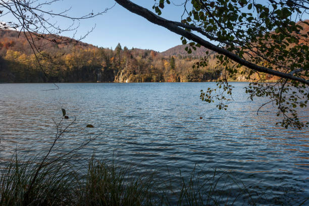 istock Plitvice Lakes National Park 903233654