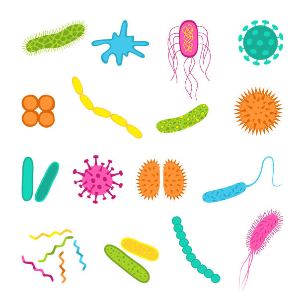 ilustrações, clipart, desenhos animados e ícones de germes e bactérias ícones definido em estilo simples. - staphylococcus aureus resistente à meticilina