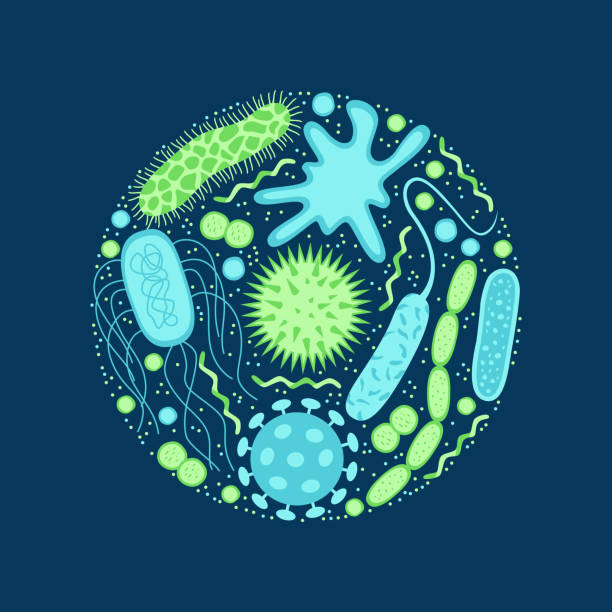 ilustraciones, imágenes clip art, dibujos animados e iconos de stock de virus y bacterias iconos conjunto aislado sobre fondo azul. - gut bacteria