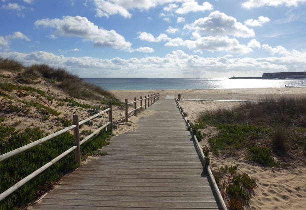istock Empty wooden path to beach in winter 903234326