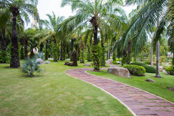 istock Orange tile walkway in the garden 903238356