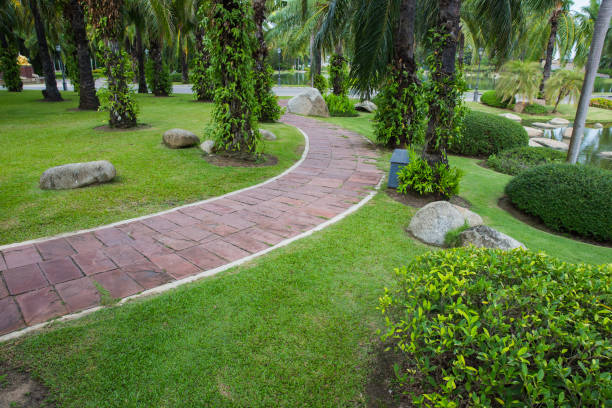 istock Orange tile walkway in the garden 903238412