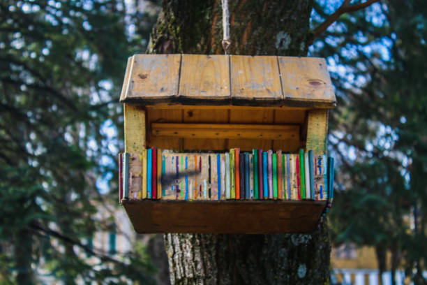 istock A creative wooden bird feeder in the park. 903242214