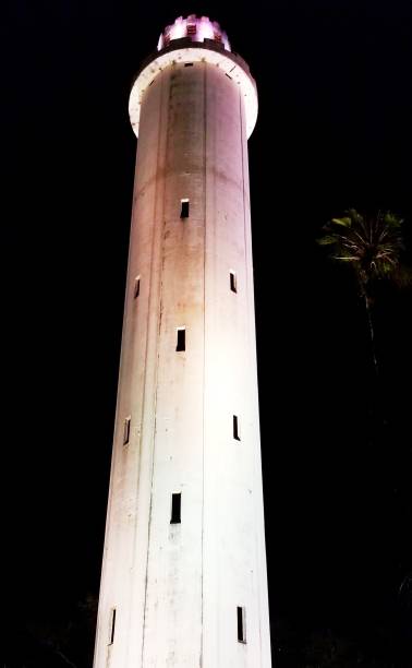 istock Sulphur Springs tower in Tampa, FL 903242220