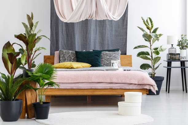 istock Drapes in cozy bedroom 903245602