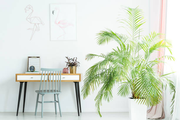 istock Big palm next to desk 903249446