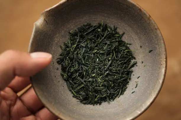 Japanese gyokuro, green tea, in a Tokoname shiboridashi teapot ready to be brewed.