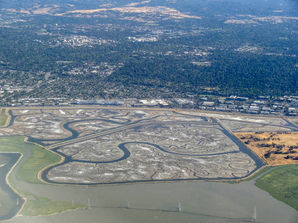 istock San Francisco Bay aerial view 903253048