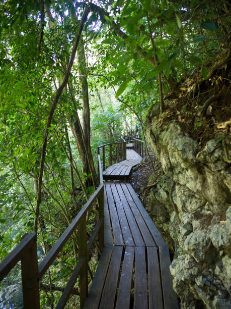 istock Waterfalls & Pools at Semuc Champey - Guatemala 903261324