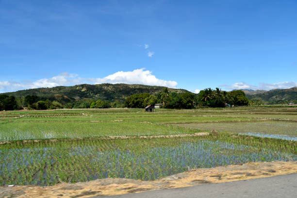 istock Road view from Santiago city to Manila 903265092