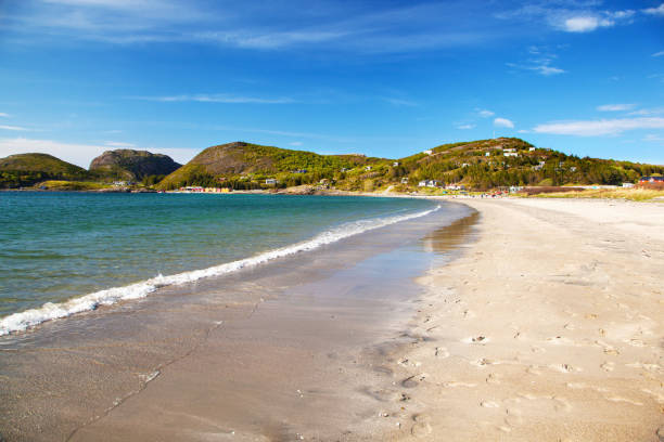 istock view on Stokkoya sandy beach, Norway 903271156