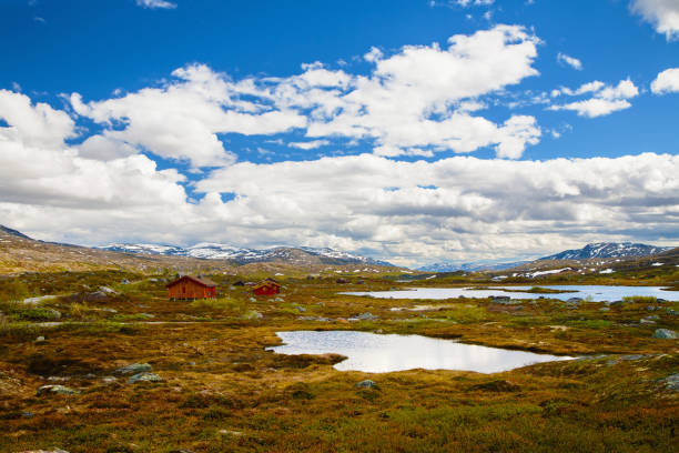 istock mountain view on Aursjovegen road, Norway 903278022
